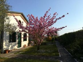 Casa Pianta Cavallino